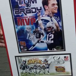 Tom Brady Super Bowl 38 Mvp Frame