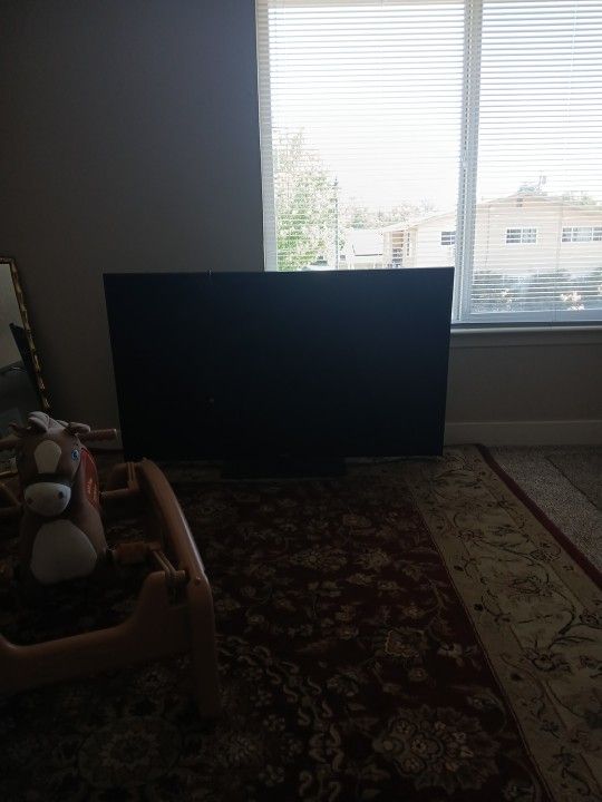65" TV Won't Turn On