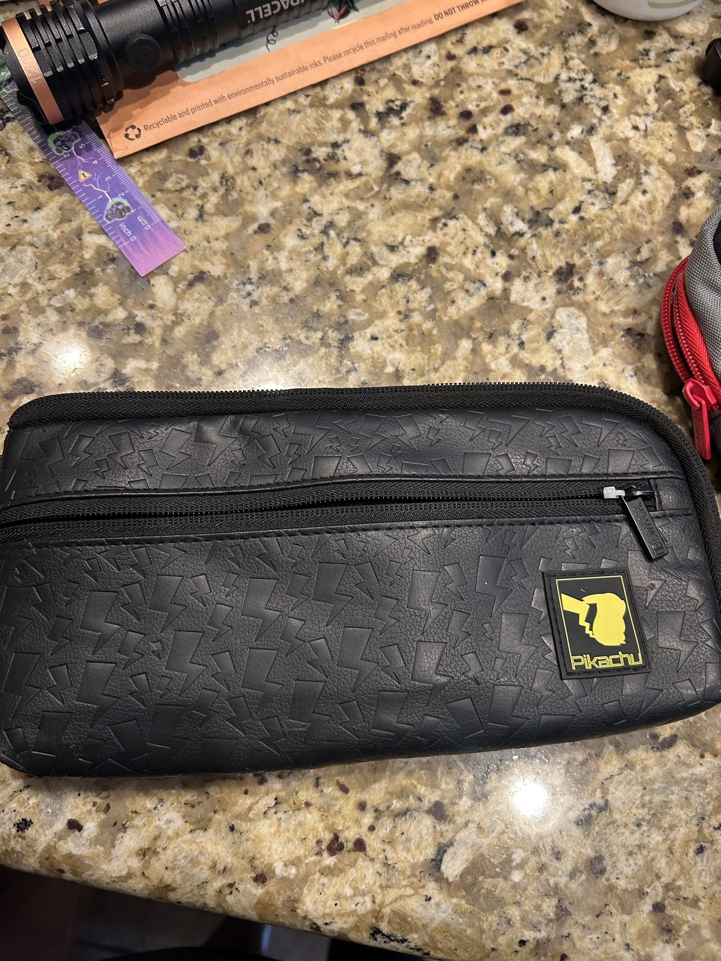 pikachu carrying case