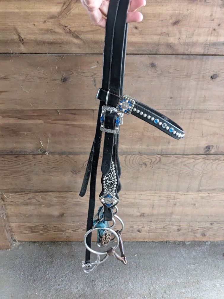Fancy Western Bridle with Bit