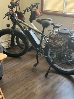 Amet E bike
