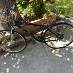 Raleigh C200 bike doesn't have the seat but everything is fine