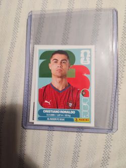 Panini world cup