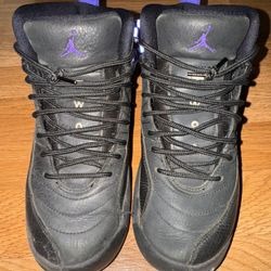 Jordan 12 Dark Concord 