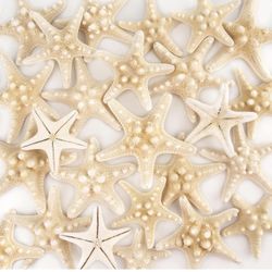 20PCS Starfish for Crafts 3" to 5" Natural Starfish
