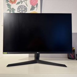 28 Inch LG Gaming Monitor