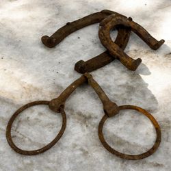 Antique Horse Bit w/ 2 Horseshoes Primitive Farm Iron 3-Piece Lot