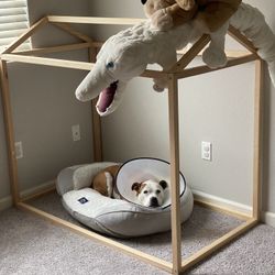 Toddler House Floor Bed