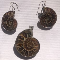  Ammonite Fossil Jewelry Set
