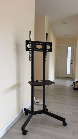 Rolling Tv Mount