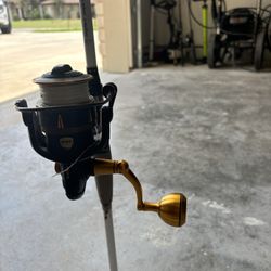 Penn Slammer 3 4500 + Duckett Rod 