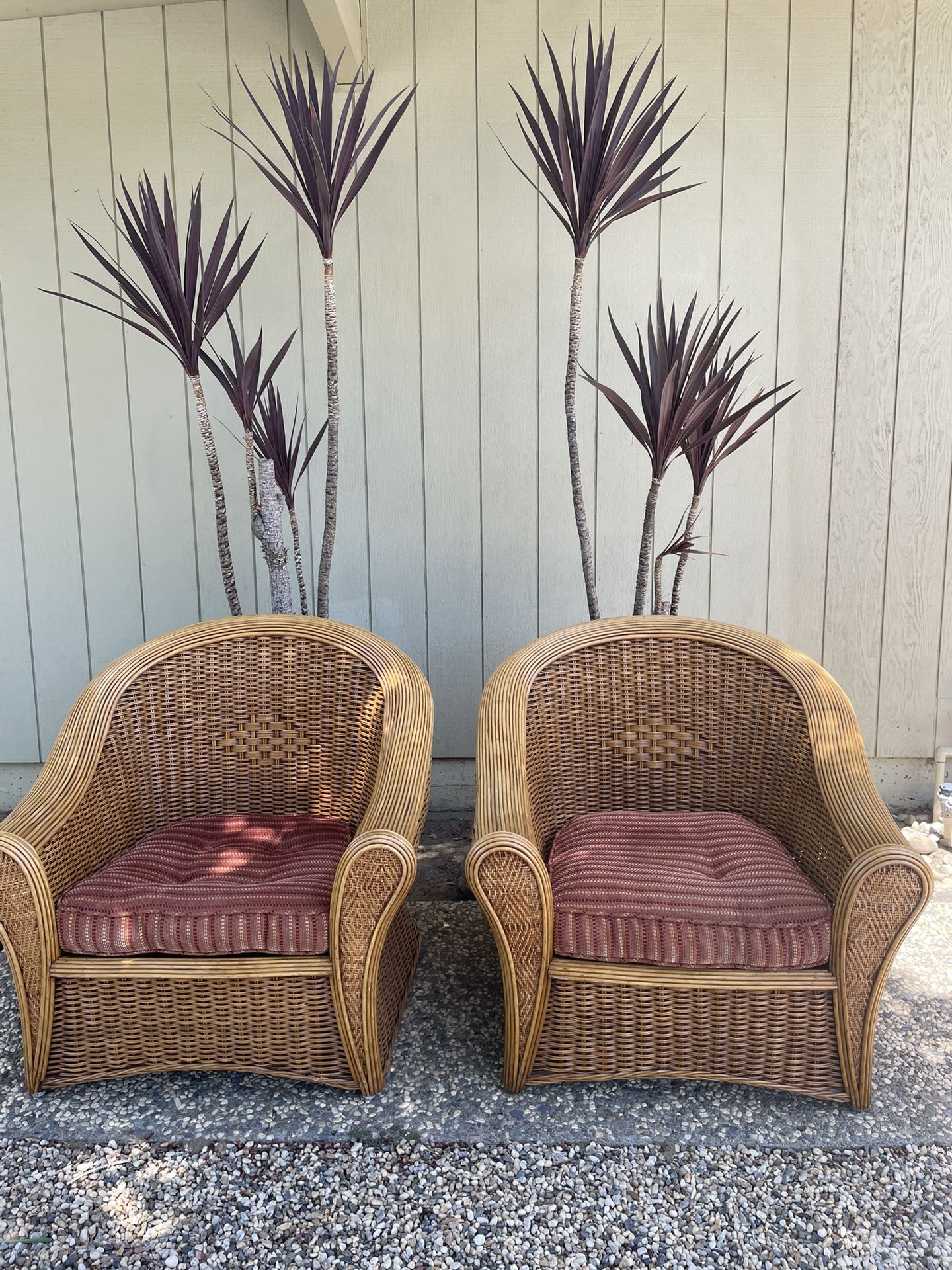 Vintage Rattan Lounge Chairs