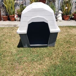 Dog House 