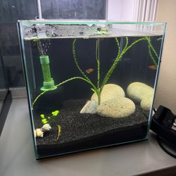 5.5 gallon rimless tank w/ Custom lid