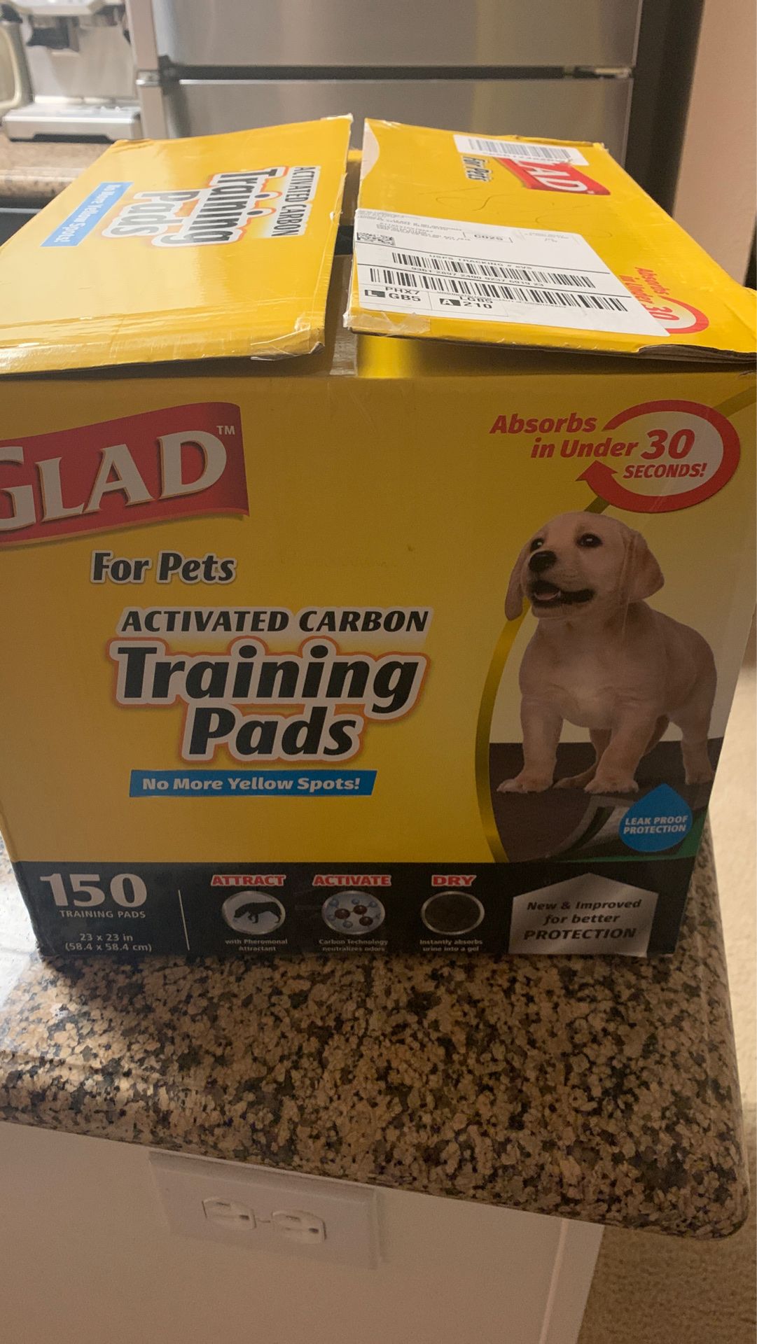 Training pads for dogs!