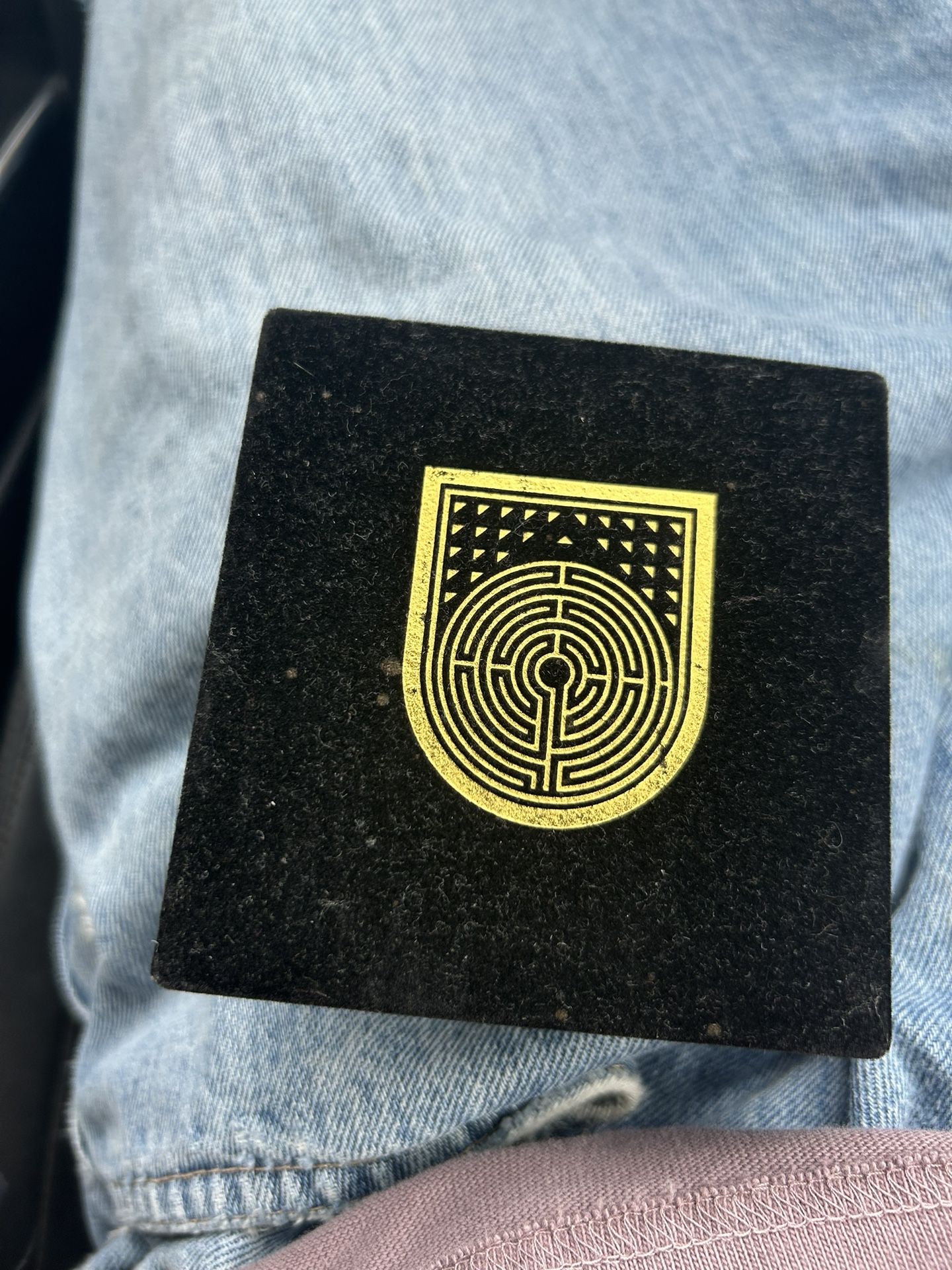 Destiny 2 Forerunner Pin Collectible