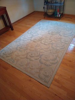 Area rug 5 x 7ft 9 inches used in Warrenville