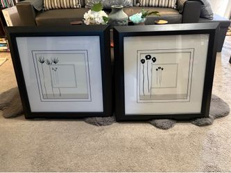 Framed Black & White Parisian Floral Print Set