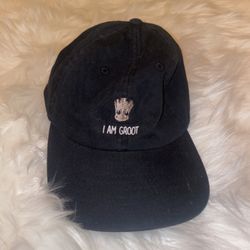Baseball Cap
