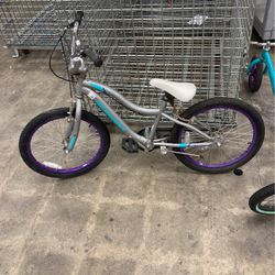 Schwinn Bicycle