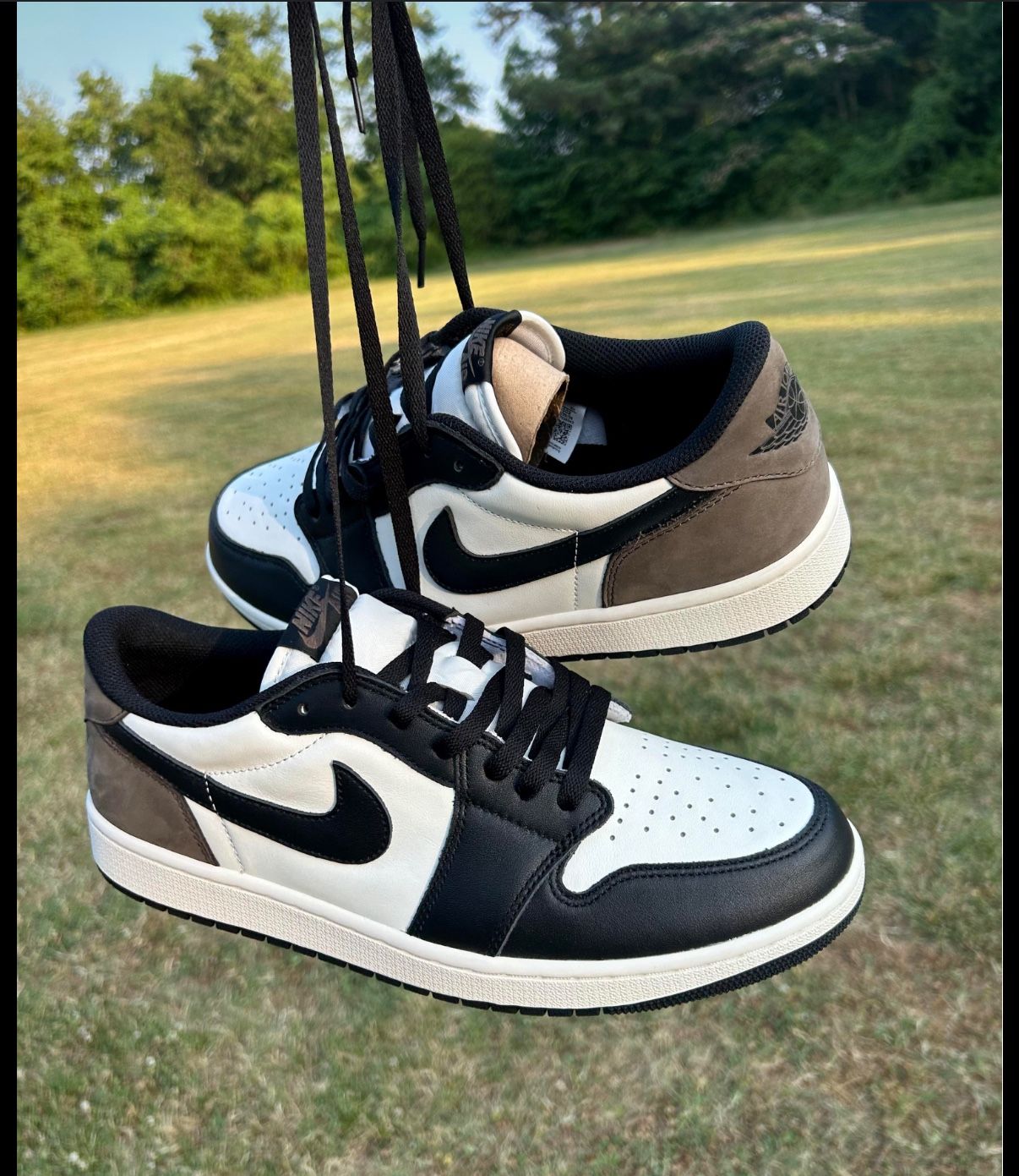 Jordan 1 Mocha Low