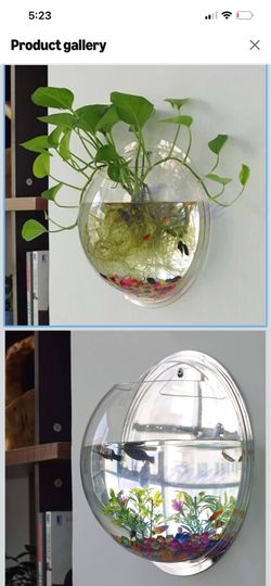 Wall Mounted Fish Bowl Hanging Betta for Aquarium Wall Decor Plant Fish Bubble Bowls Clear Acrylic 5.9" 7.7" 10.2"