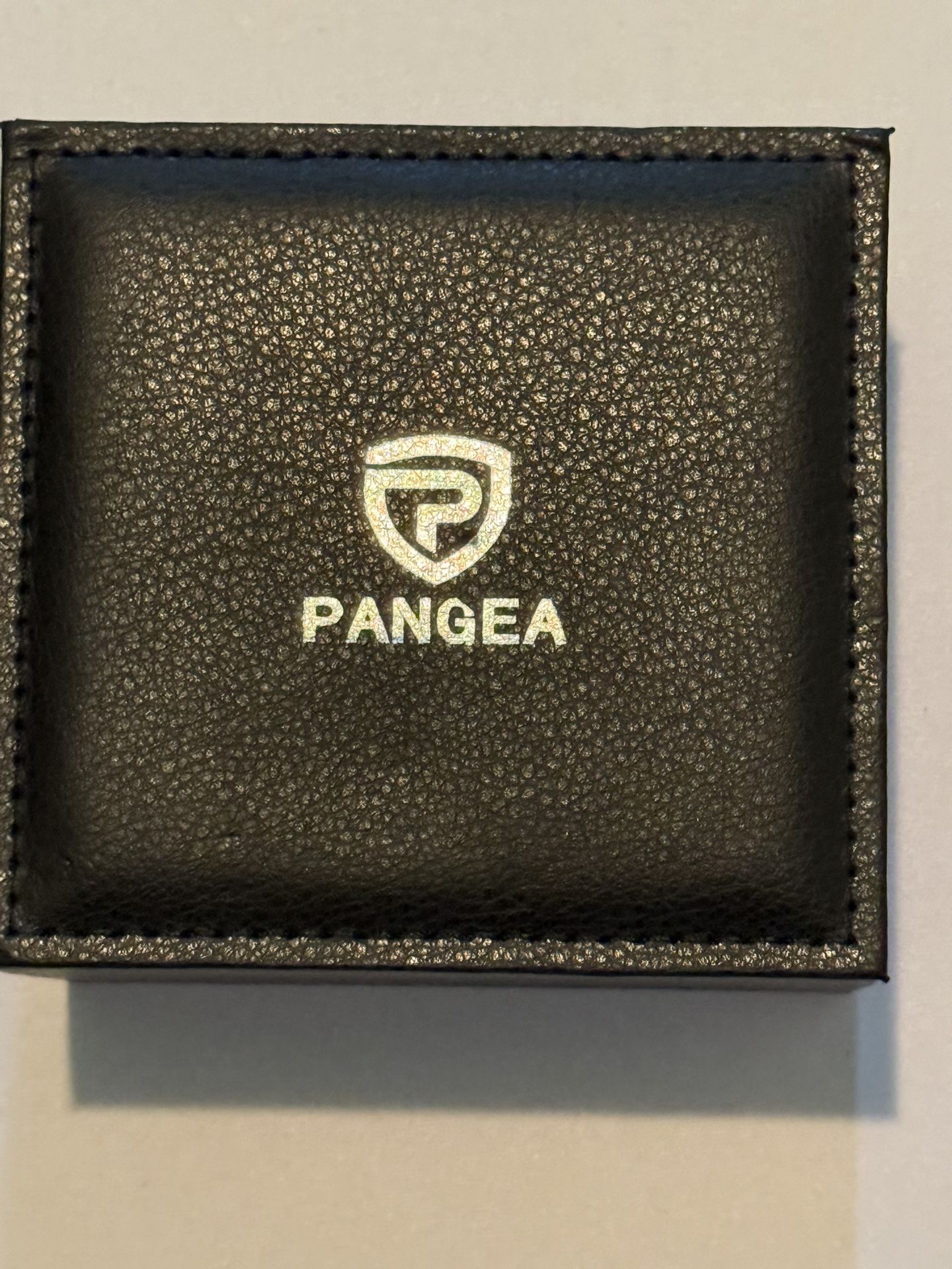Pangea Watch