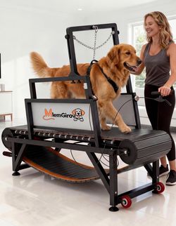 Dog Treadmill, brand new