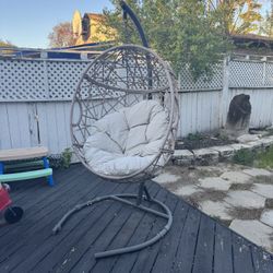 Hanging Swing Egg Chair with Stand & Cushion 