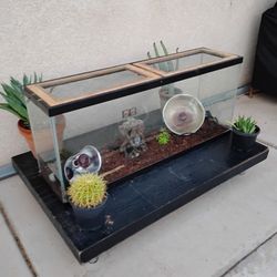 55 Gallon Terrarium With Stand
