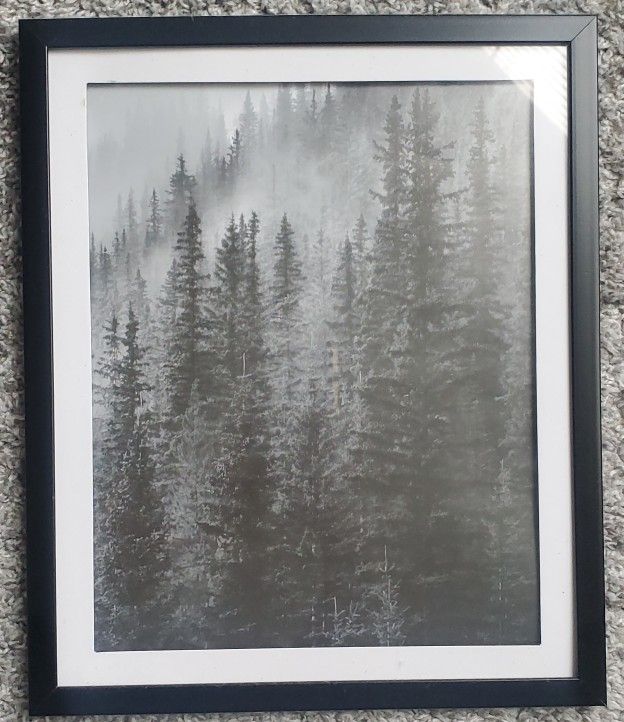 Framed Forest Art Print