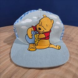 Disney Winnie The Pooh Baseball Cap Snapback