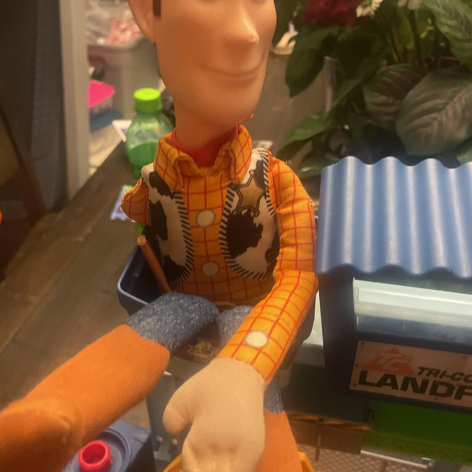 Toy Story Package