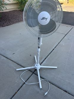 Fan