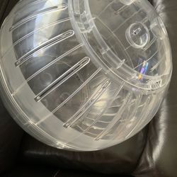 Petsmart Bola Pa Diversion O Ejercicio De Ratones O Hámster