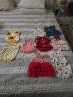 Dog dresses