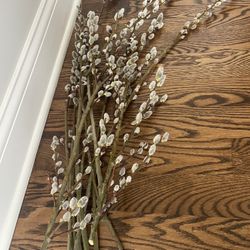 Bazie, Fresh Willow Stalks with Fuzzy Catkins