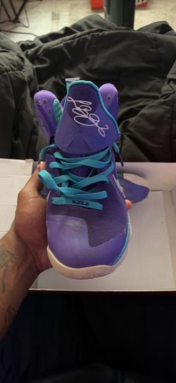 LeBron 9s