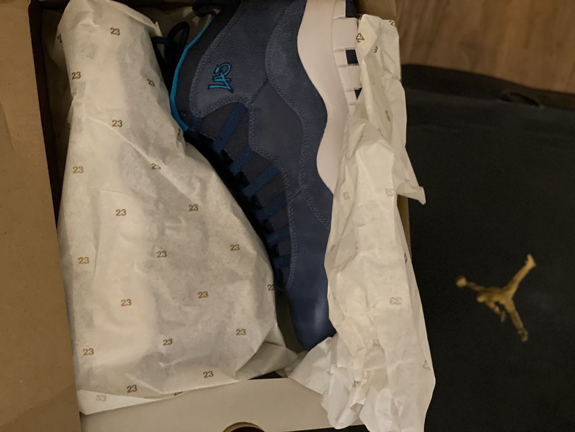 Jordan 10s Brand New