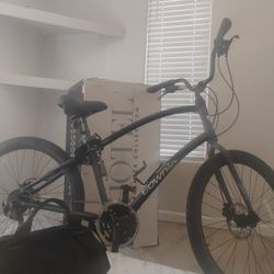 Townie Cruiser