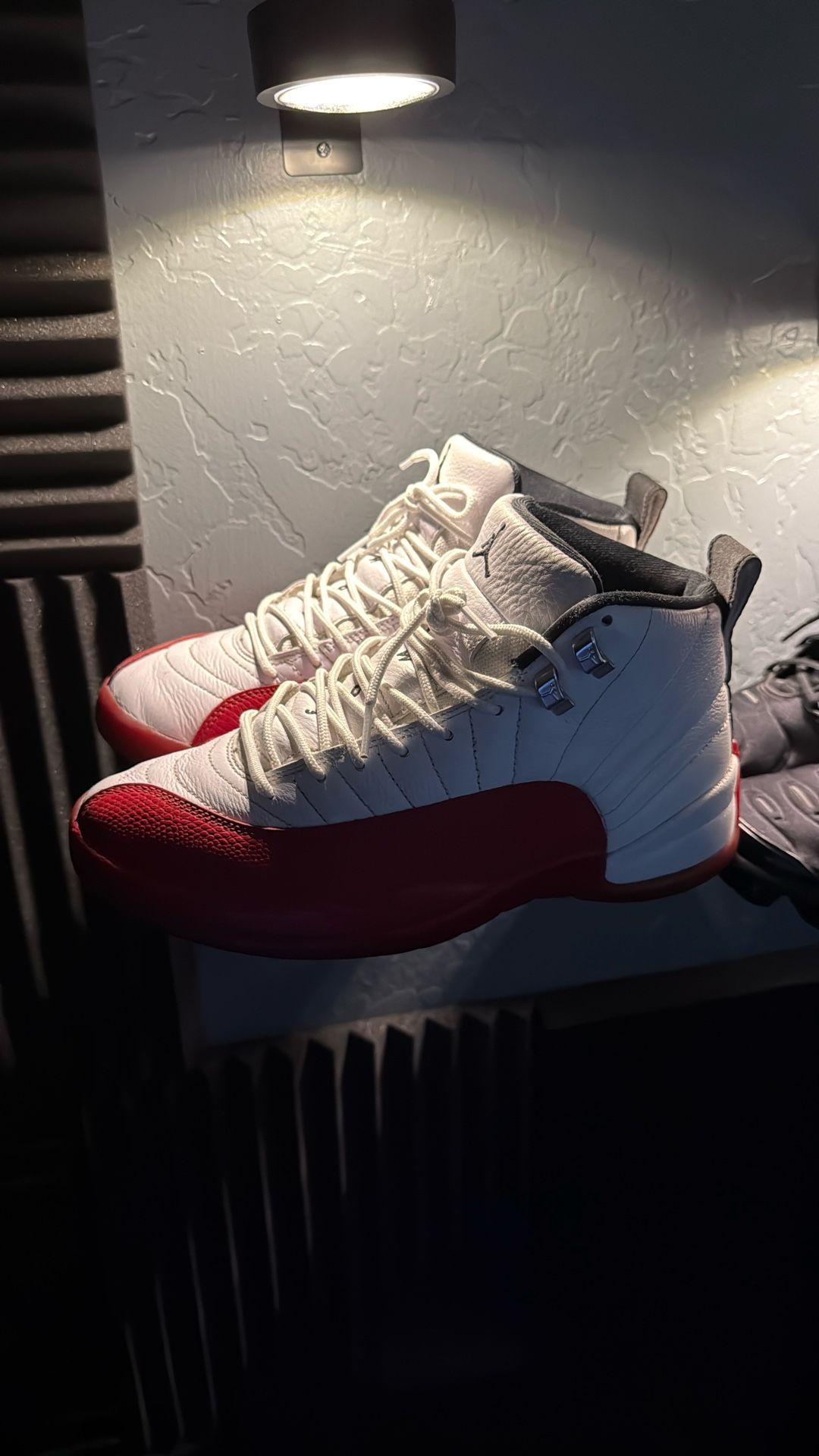 Jordan’s 12