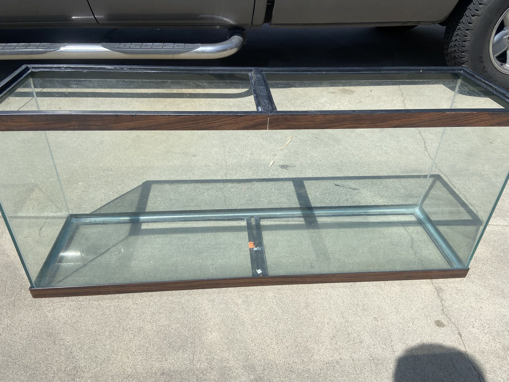 Fish Tank