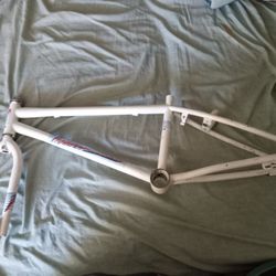 1986 Schwinn Predator Free FormX