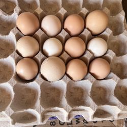 Eggs 