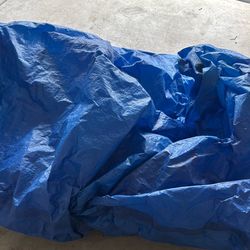 Tarp