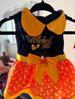 SMALL: "Wicked Sweet" Candy Corn Dog Dress from Petco.