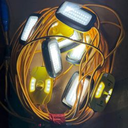 10 LED String Lights On 100ft Extension Cord