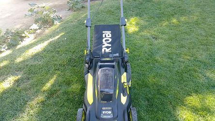 Ryobi brushess