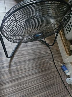 Fan