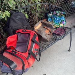 Bolsas  Y  2 Mochilas 
